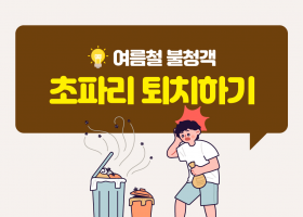 건강정보