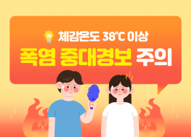 건강정보
