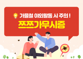 건강정보